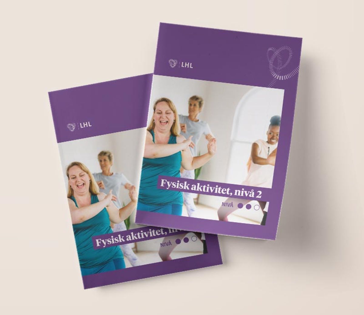 Fysisk aktivitet nivå 2 2025